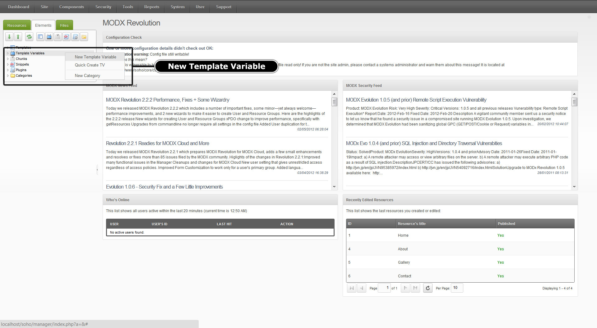 Template variable. MODX Evolution. Сайты на MODX.